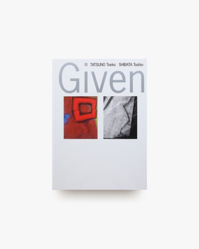 与えられた形象 辰野登恵子 柴田敏雄 Given Forms | 国立新美術館