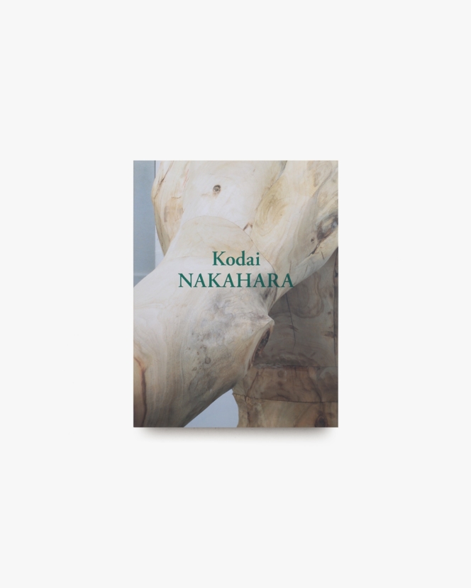 中原浩大 Kodai Nakahara 1982-2014 | BankART1929