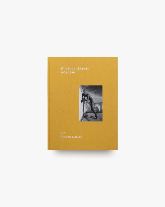 Photosynthesis 1978-1980 | 田原桂一