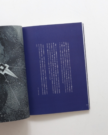 nsts-03743