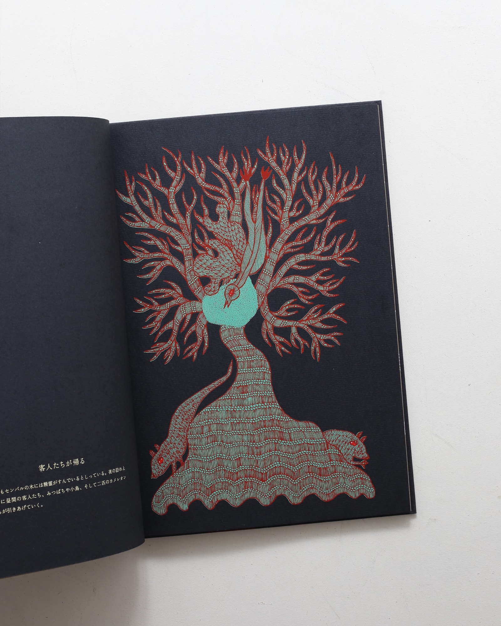 nsts-09867