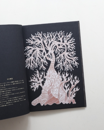 nsts-09867