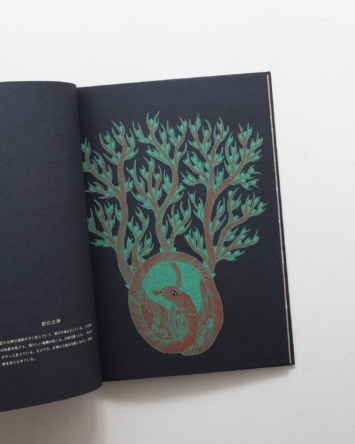 nsts-09867