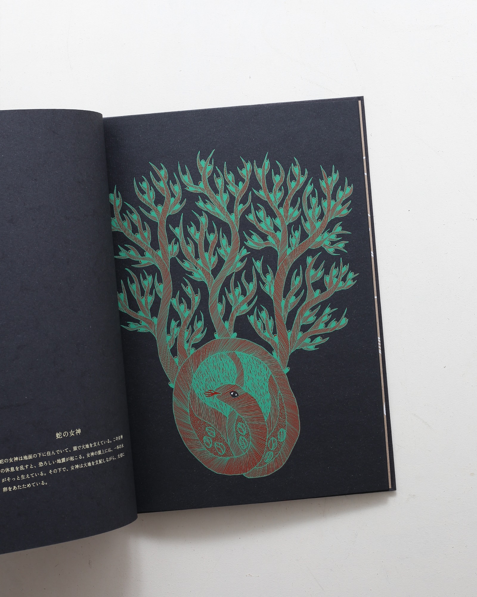 nsts-09867