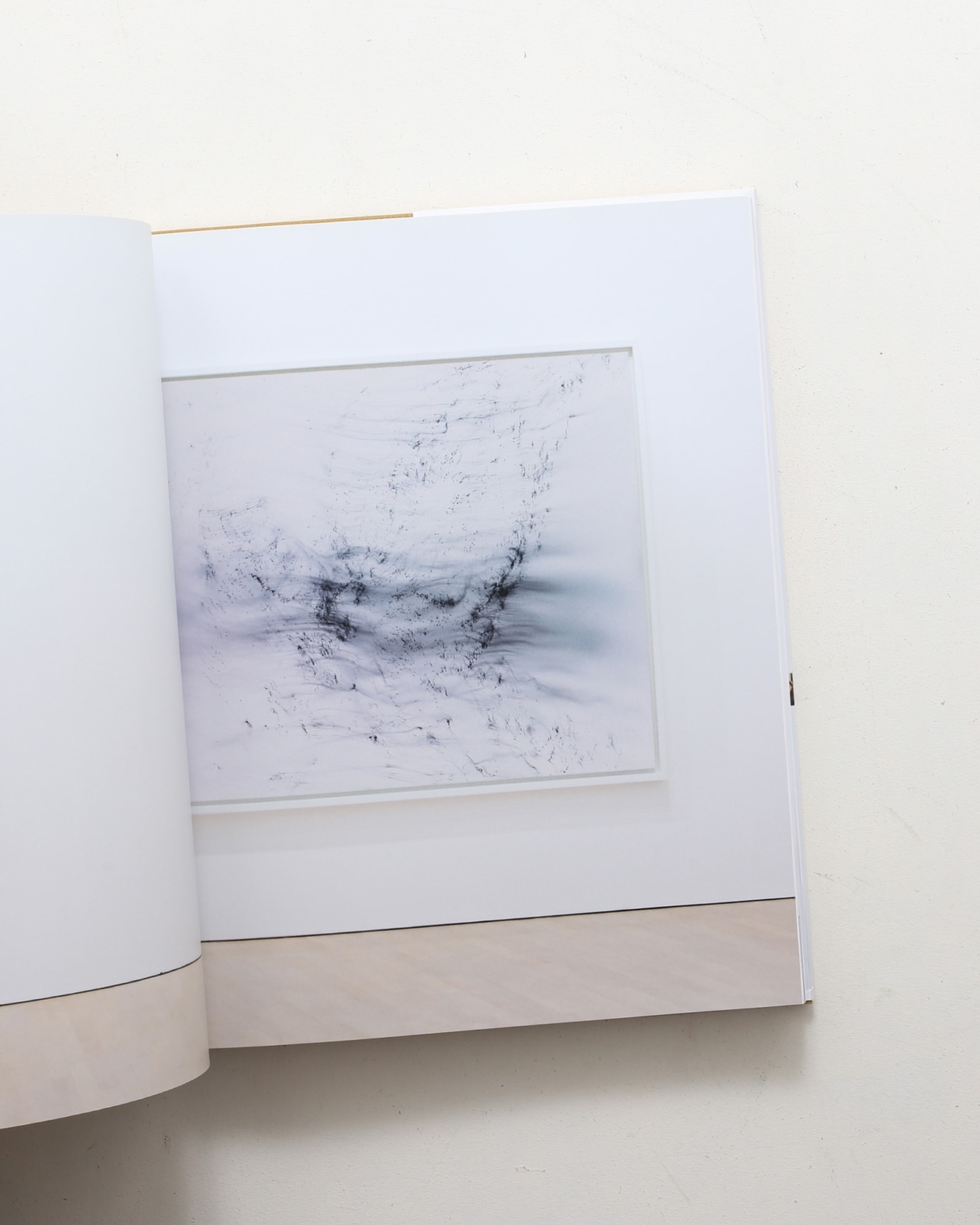 Wolfgang Tillmans ヴォルフガング・ティルマンス 入手困難 古書古本 Totodo: Wolfgang Tillmans: Truth Study Center