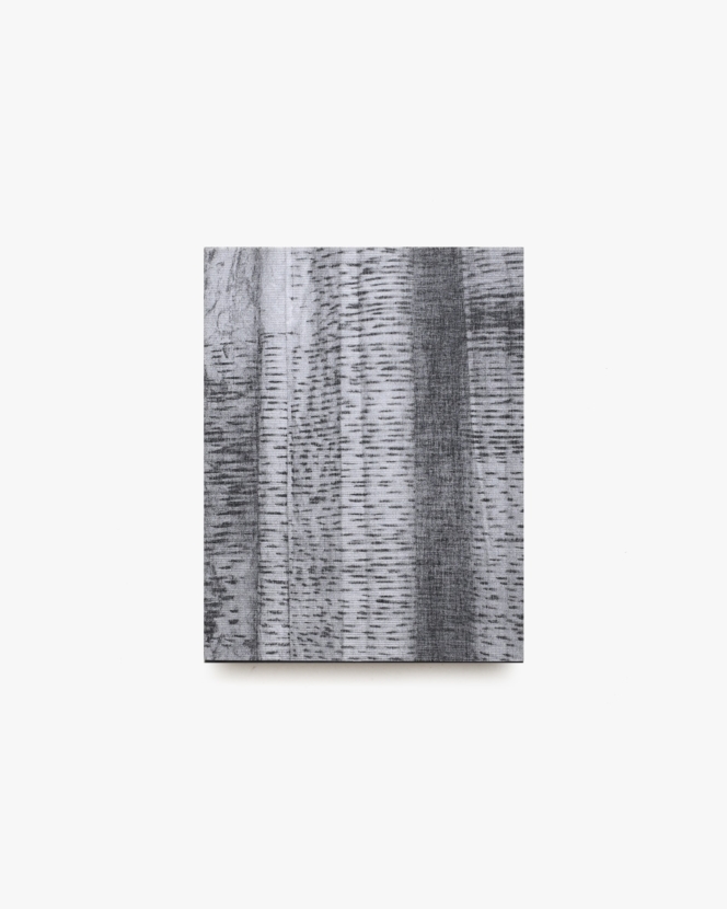 The Lasting One, That Didn’t Last, That Still Lasts | Hannelore Van Dijck
