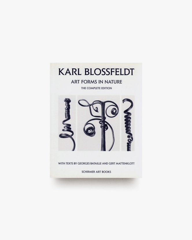 Karl Blossfeldt: Art Forms In Nature | カール・ブロスフェルト