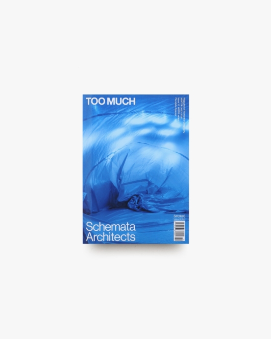 TOO MUCH Magazine Issue 10 WORK series 2