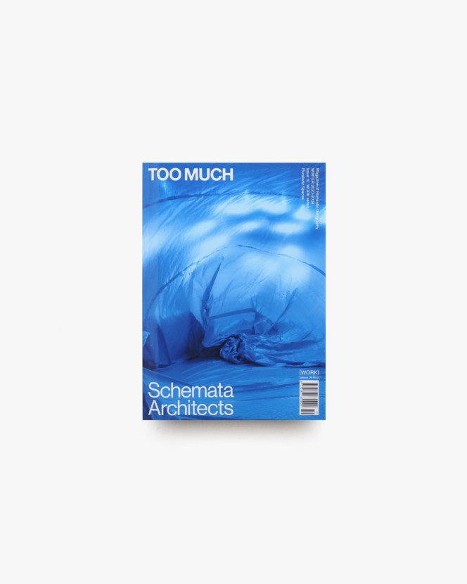TOO MUCH Magazine Issue 10 WORK series 2