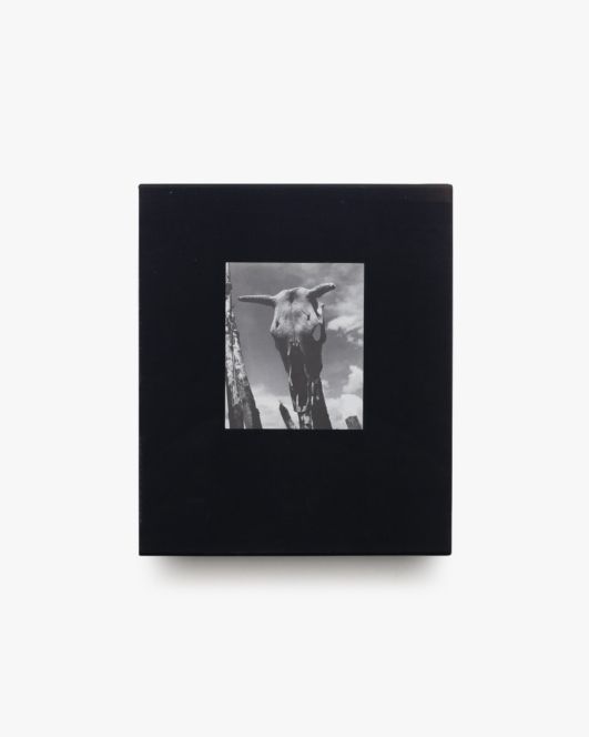 Georgia O’Keeffe: The Artist’s Landscape | Todd Webb