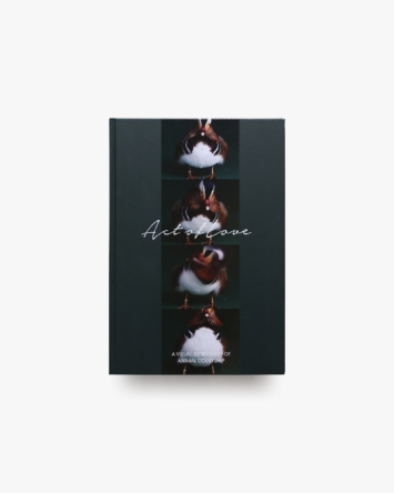 nsts-08161