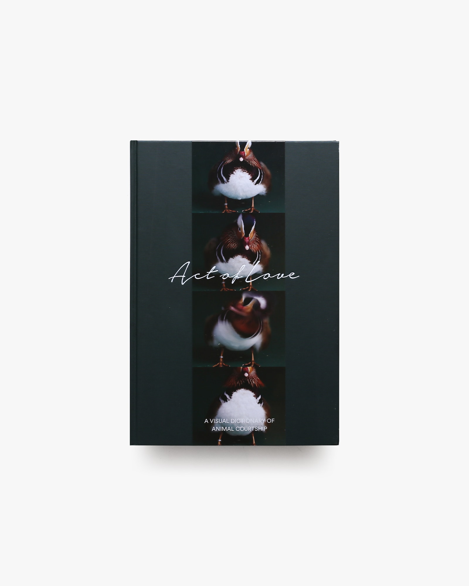 nsts-08161