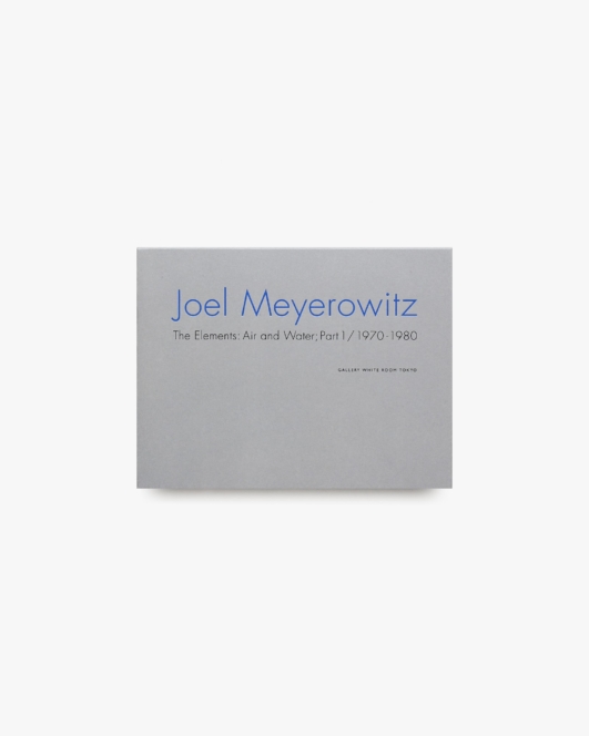 The Elements: Air and Water; Part 1 / 1970-1980 | Joel Meyerowitz