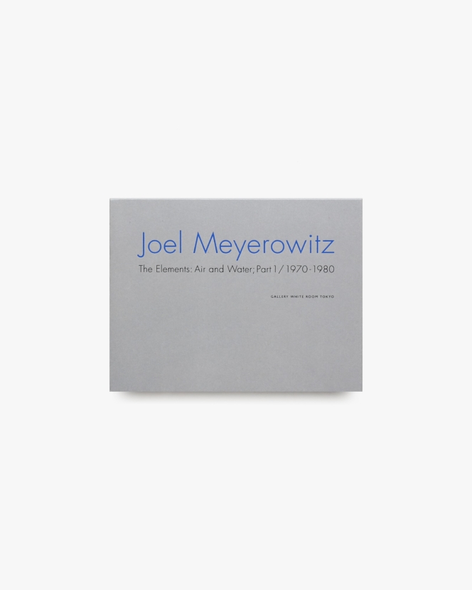 The Elements: Air and Water; Part 1 / 1970-1980 | Joel Meyerowitz