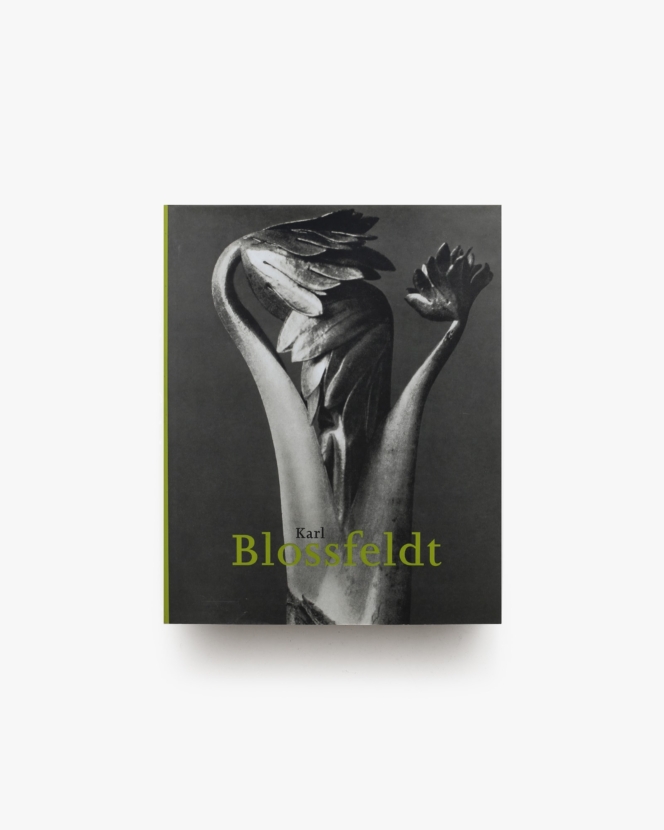 Karl Blossfeldt: 1865-1932