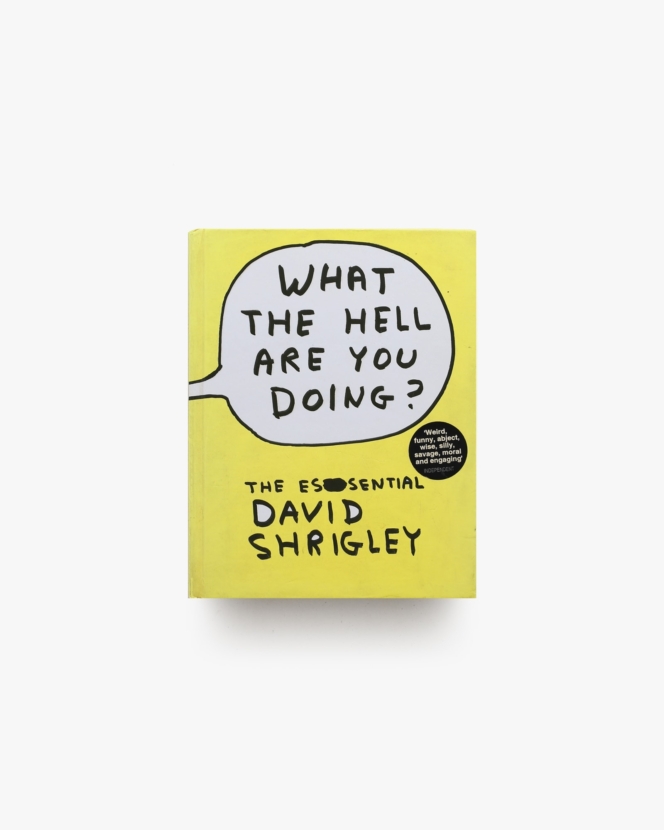 What The Hell Are You Doing？ | David Shrigley