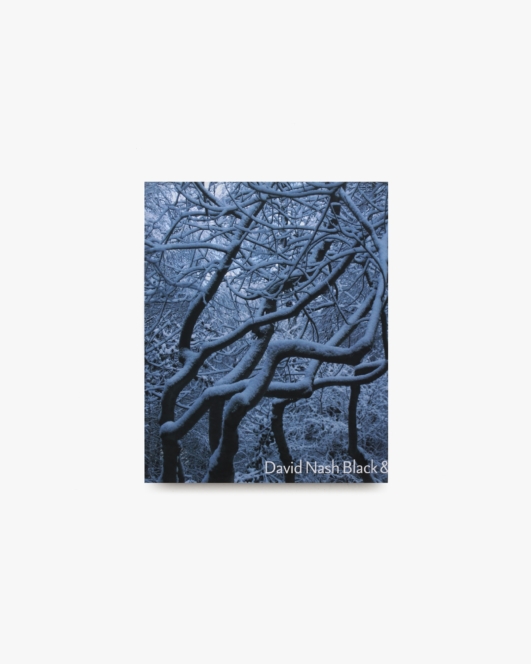 David Nash: Black and Light