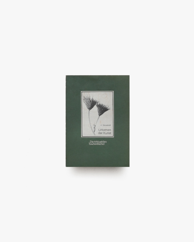Urformen der Kunst | Karl Blossfeldt