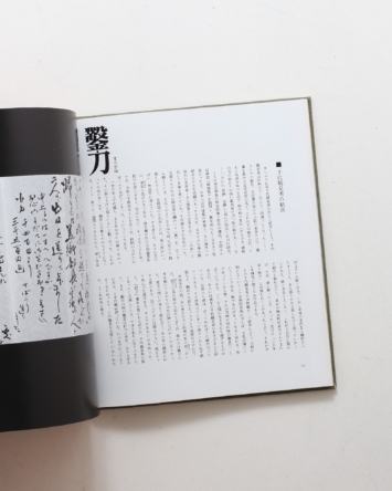nsts-06681