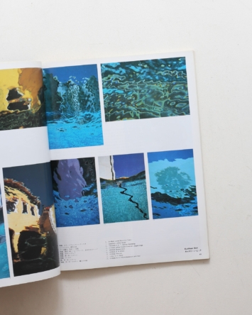 nsts-06826