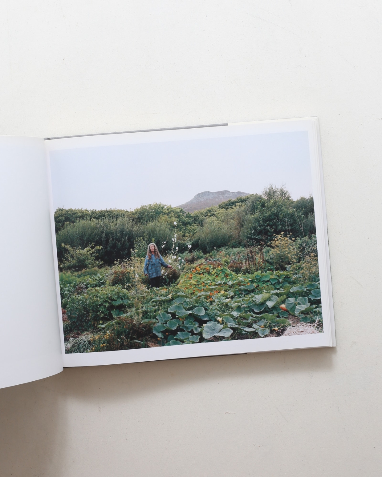 nsts-08968