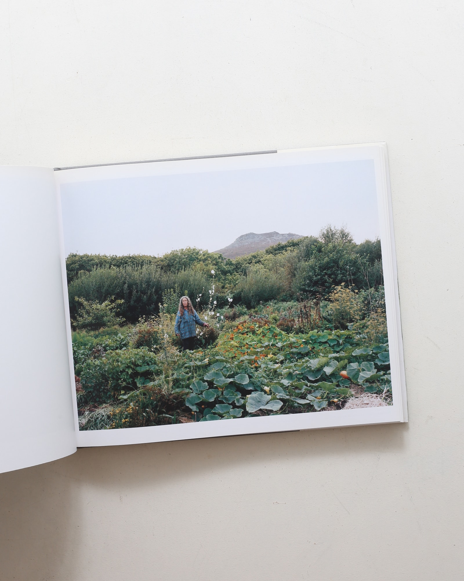 nsts-08968