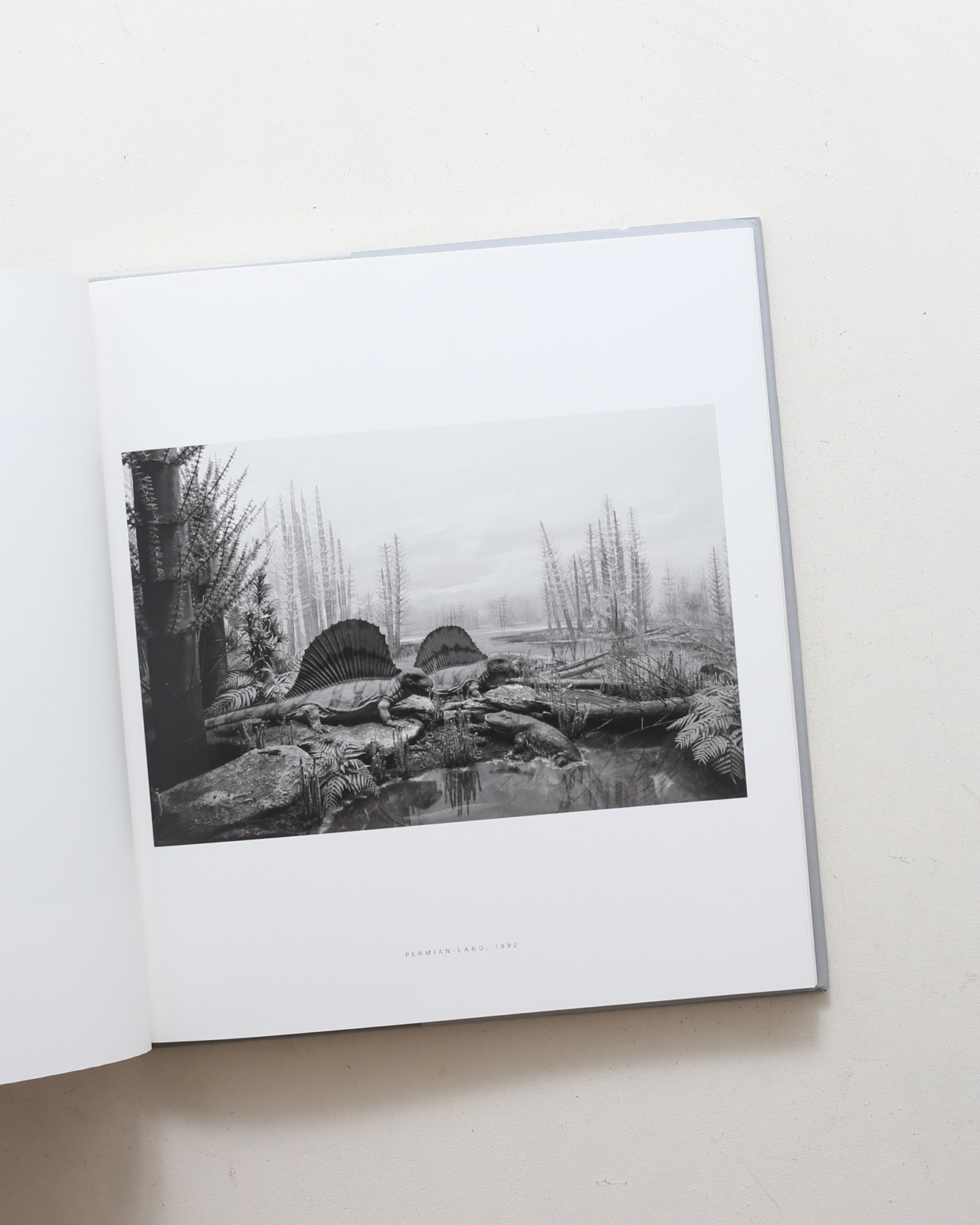 HIROSHI SUGIMOTO 杉本博司 DIORAMAS ジオラマ 新品 杉本博司【Dioramas】 - 京都にある、美術洋書＆海外画集を