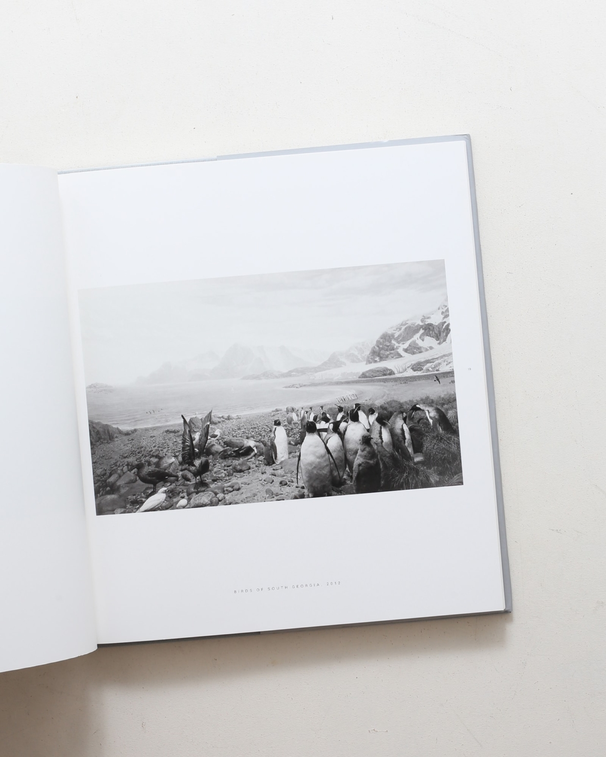 杉本博司　写真集　【DIORAMAS】Hiroshi Sugimoto 杉本博司 写真集 【DIORAMAS】Hiroshi Sugimoto Eerie Yet