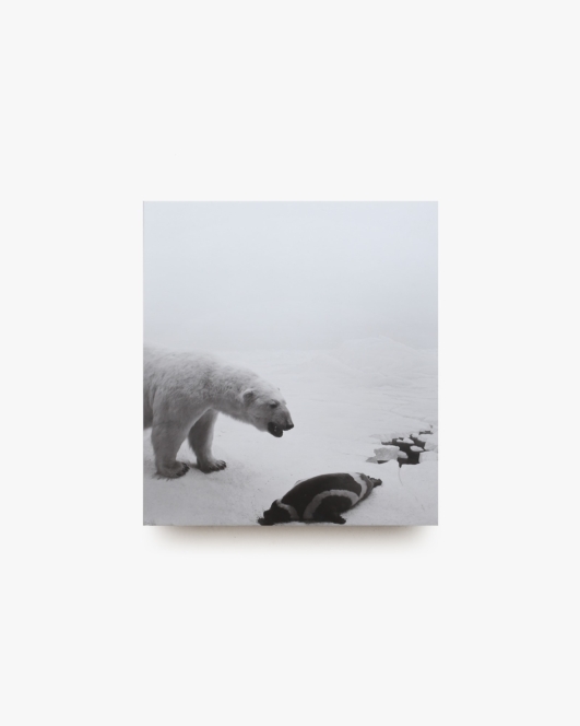 Dioramas | Hiroshi Sugimoto