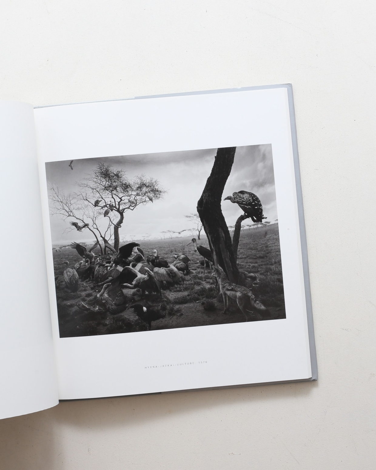 【Hiroshi Sugimoto: Dioramas】杉本博司　新品 Yahoo!オークション - Hiroshi Sugimoto Dioramas 杉本博司