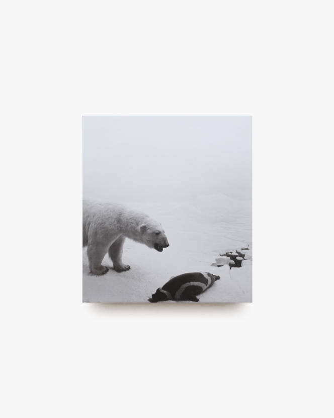 Dioramas | Hiroshi Sugimoto