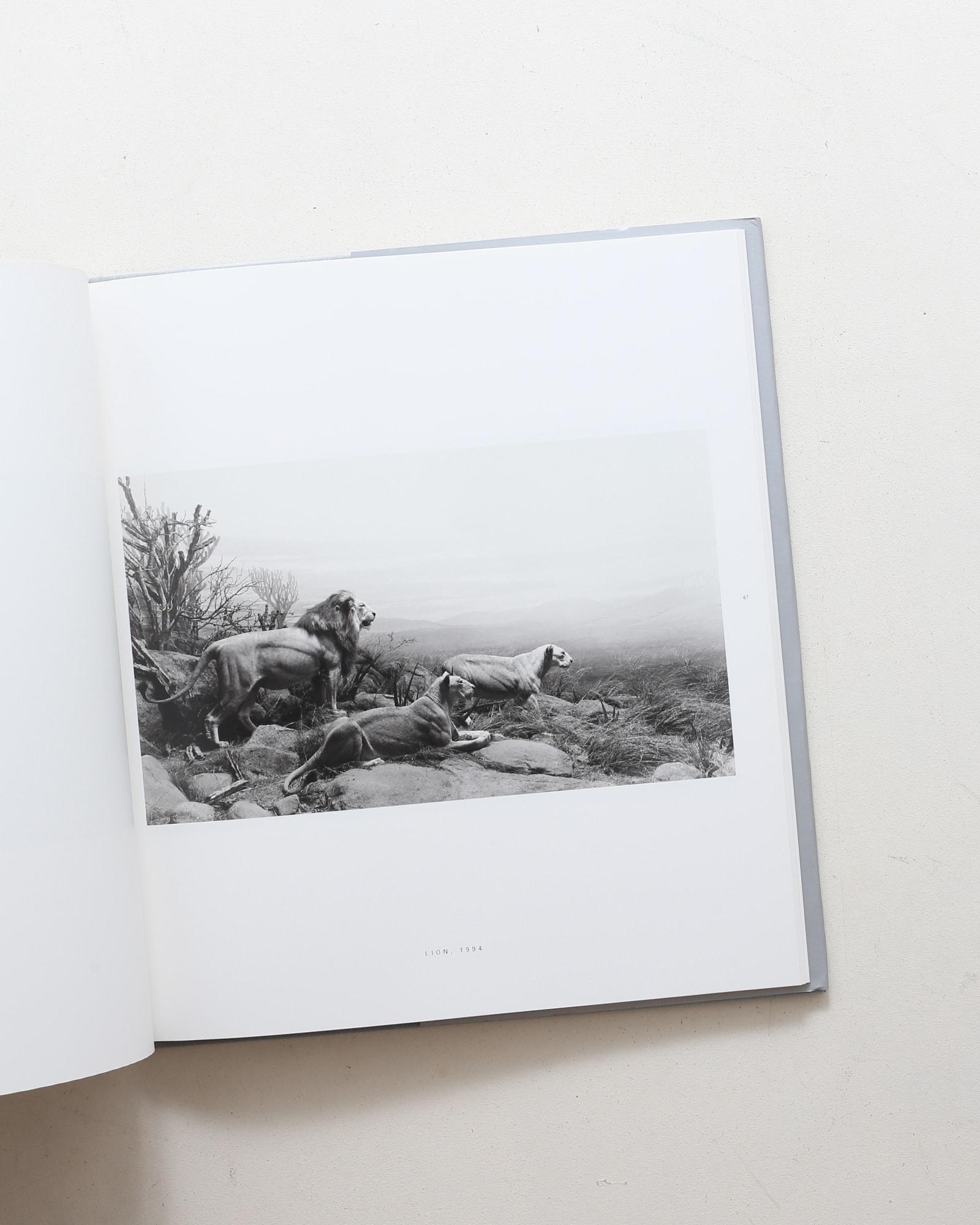 nsts-09969