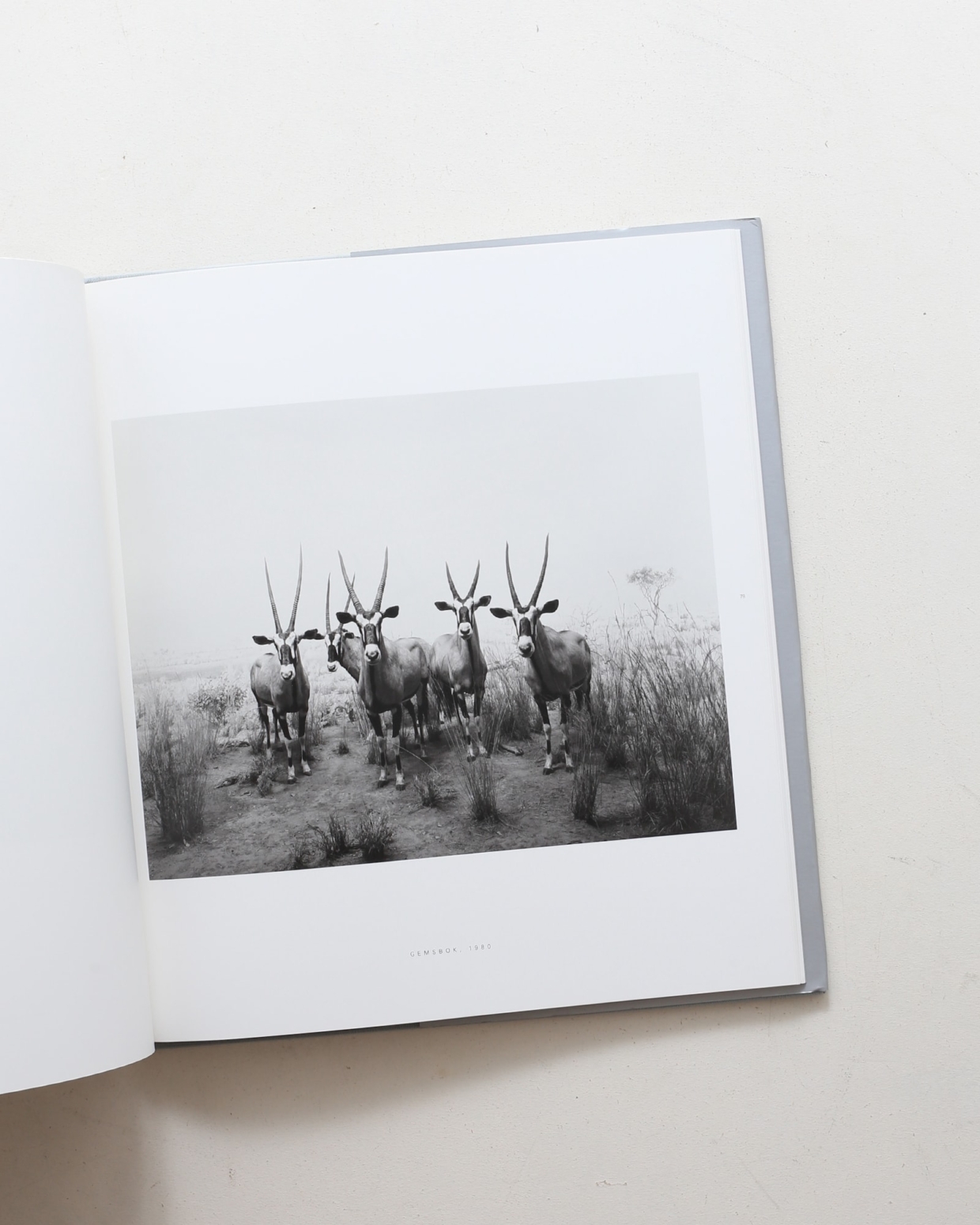 HIROSHI SUGIMOTO 杉本博司 DIORAMAS ジオラマ 新品 杉本博司【Dioramas】 - 京都にある、美術洋書＆海外画集を