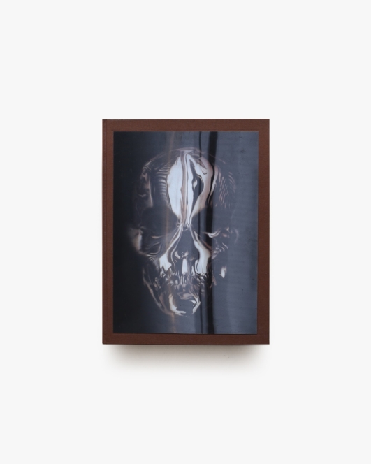 Alexander McQueen: Savage Beauty