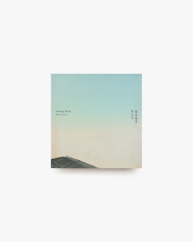 鳥を見る | 野口里佳