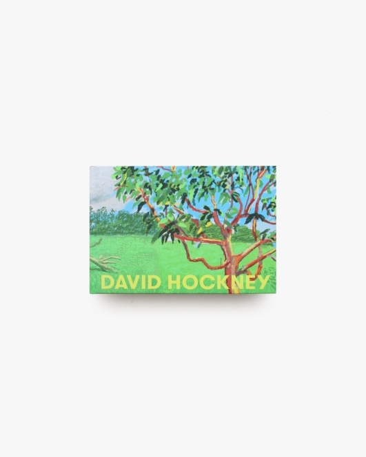 デイヴィッド・ホックニー展