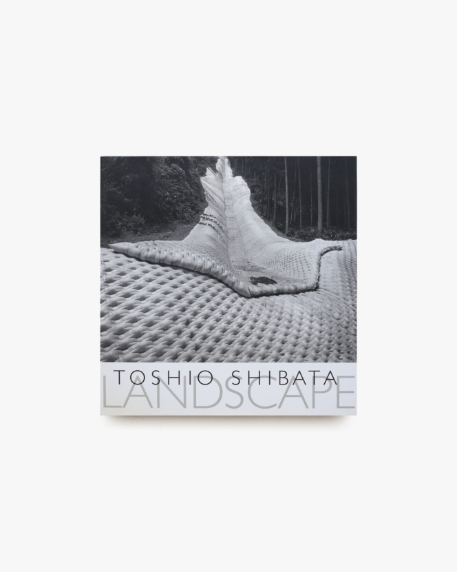 Landscape | Toshio Shibata