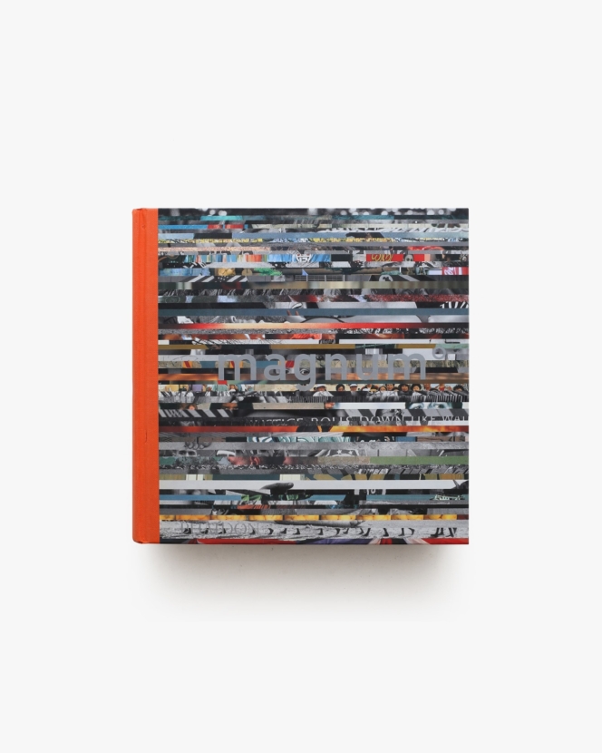 Magnum Degrees | Michael Ignatieff