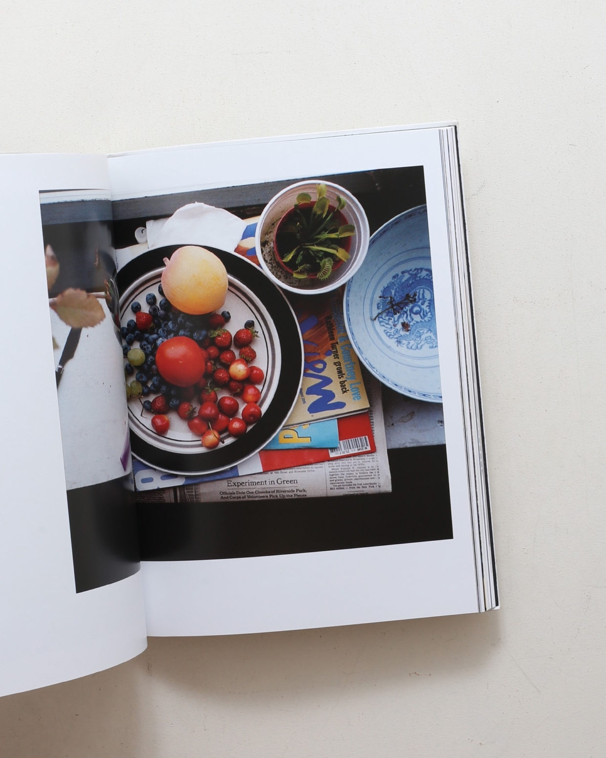Wolfgang Tillmans | nostos books ノストスブックス