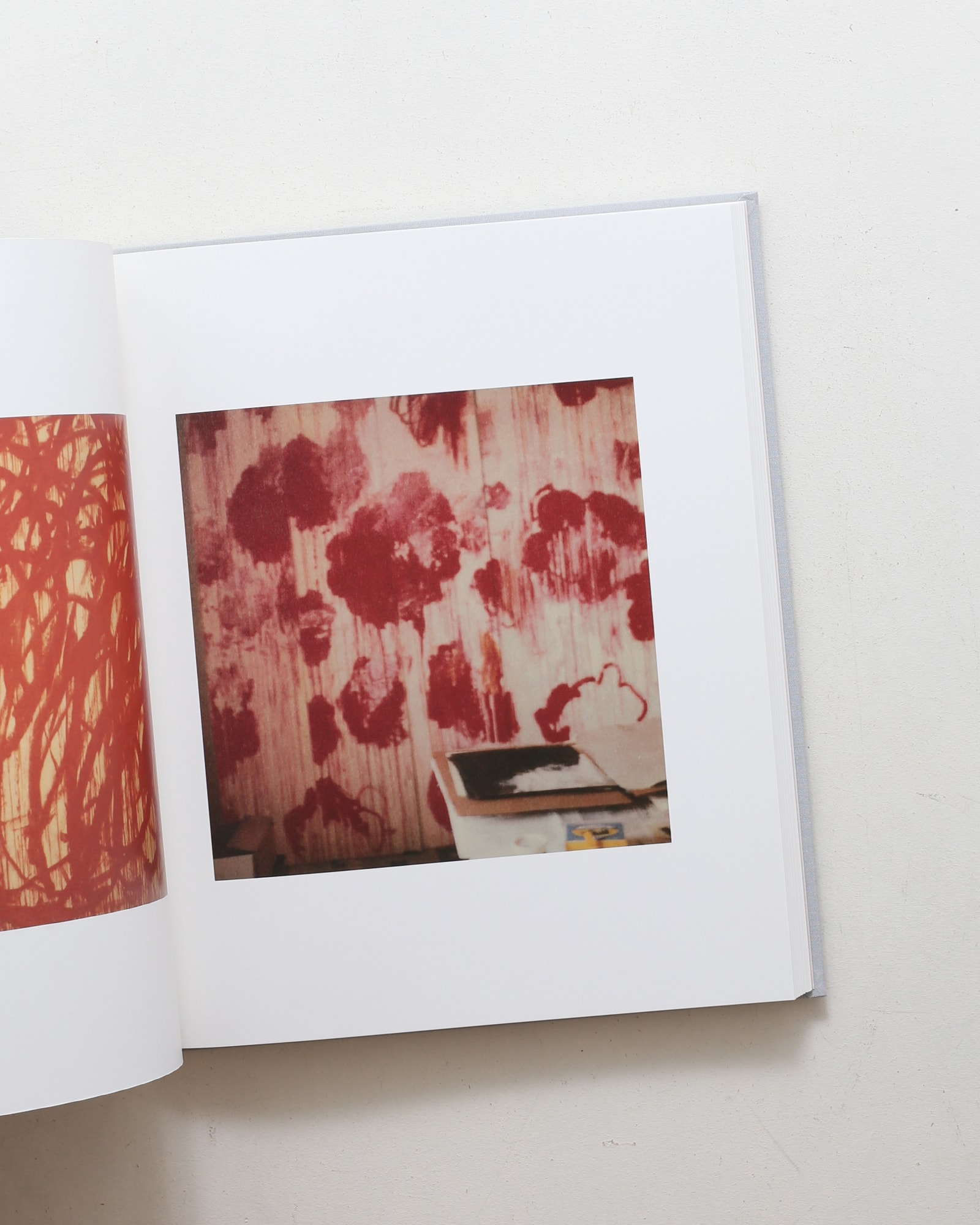 サイ・トゥオンブリーの写真 変奏のリリシズム | nostos books ノスト