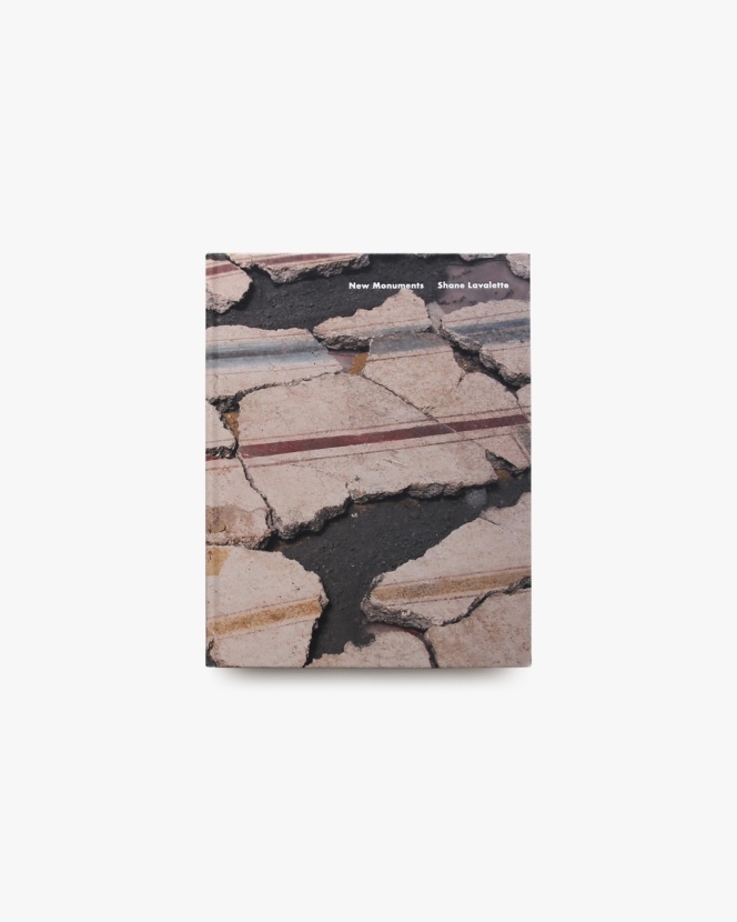 New Monuments | Shane Lavalette