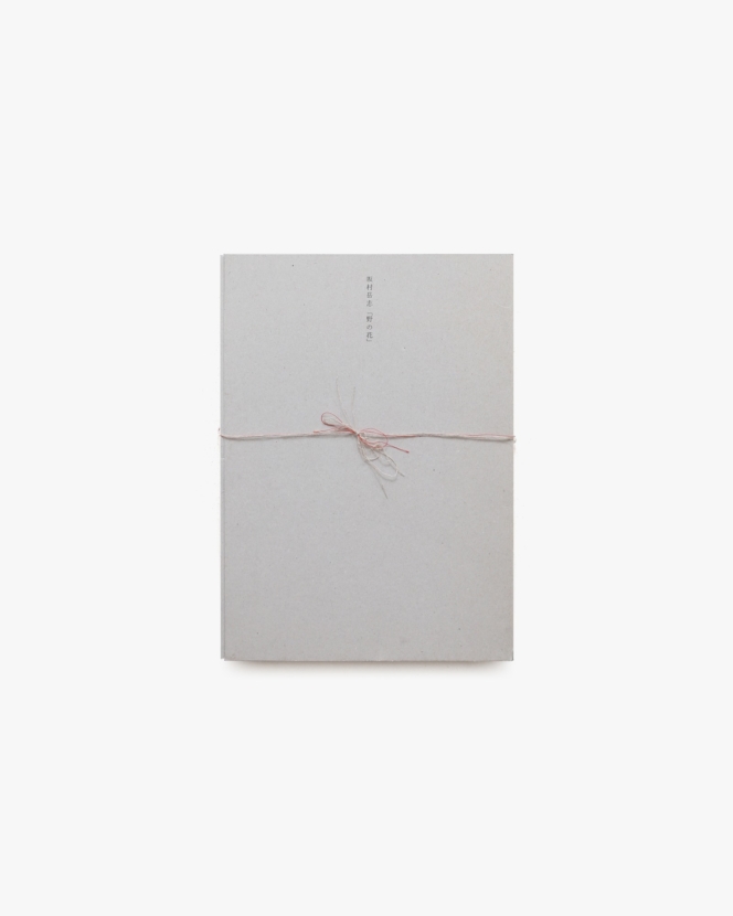 野の花 | 坂村岳志