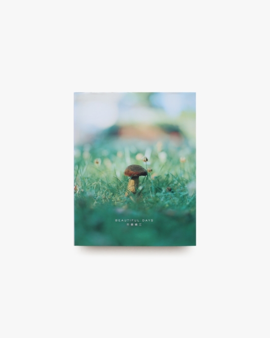 beautiful days | 市橋織江