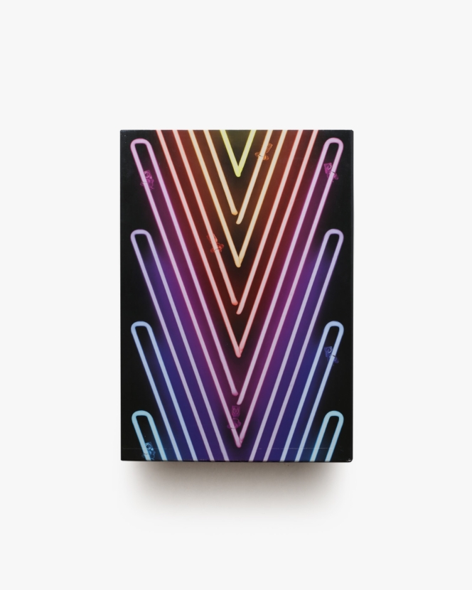 V Best: Five Years of V Magazine