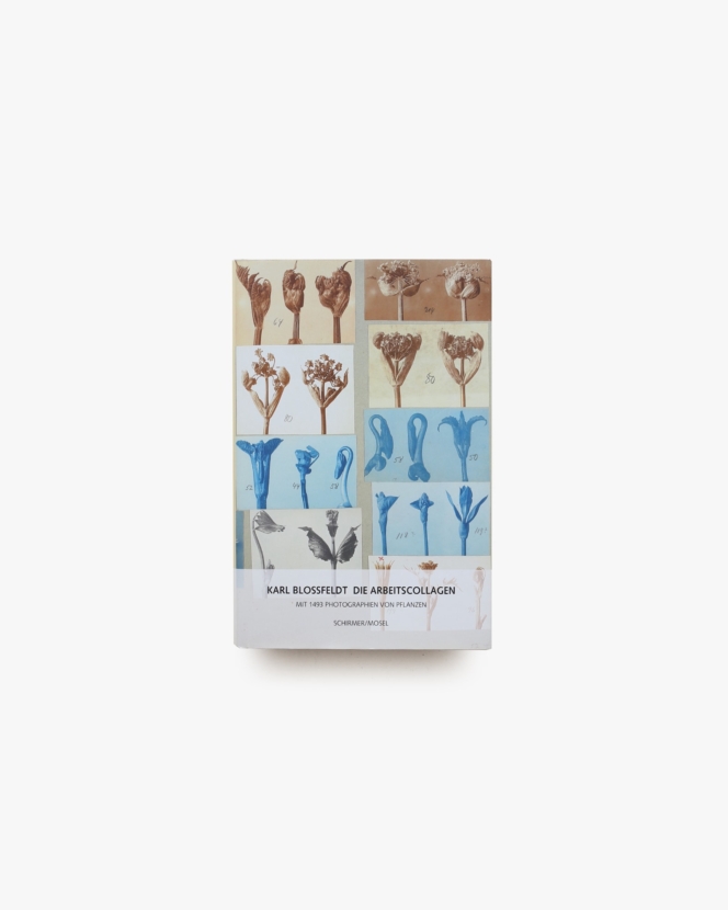 Karl Blossfeldt: Die Arbeitscollagen