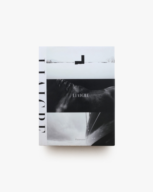 Liaigre 12 Projects | Christian Liaigre