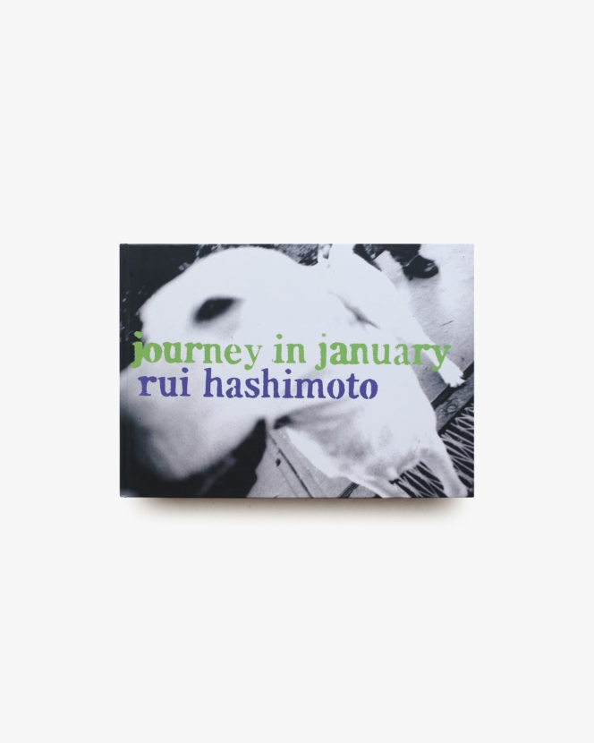 journey in january | 橋本塁