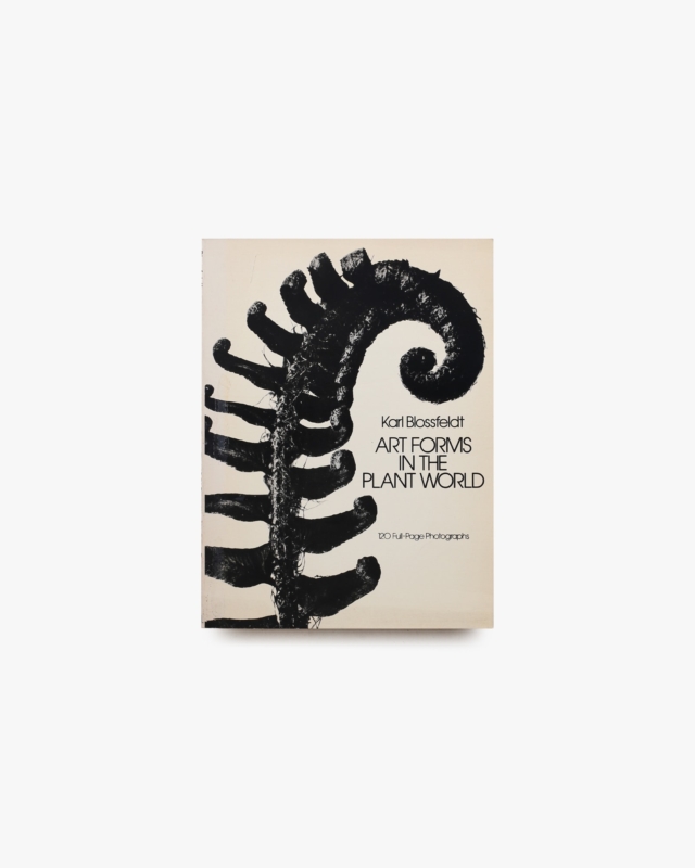 Art Forms in the Plant World | Karl Blossfeldt