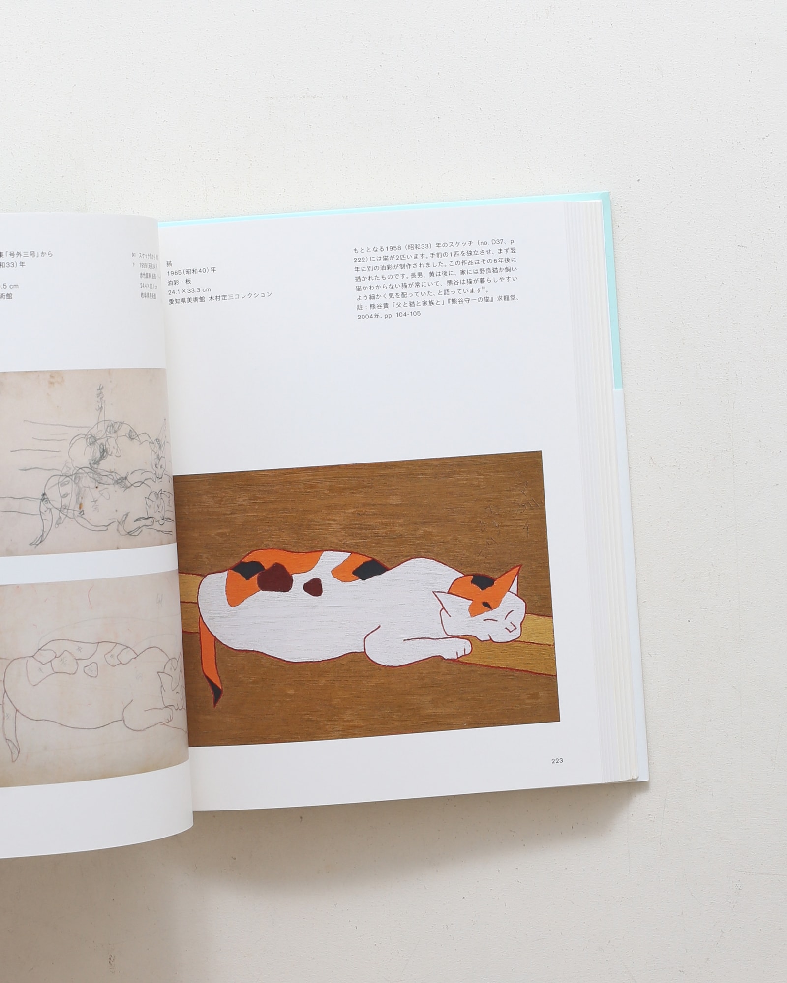 没後40年 熊谷守一 生きるよろこび | nostos books ノストスブックス