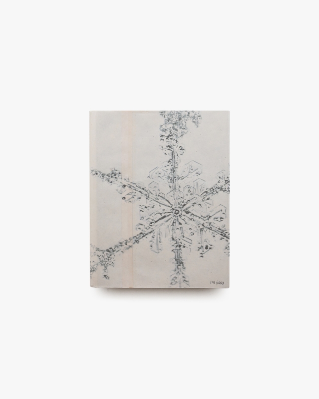 Alleverythingthatisyou. | Katz, Vincent, Doug Starn and Mike Starn